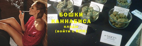 ГАЛЛЮЦИНОГЕННЫЕ ГРИБЫ Белокуриха