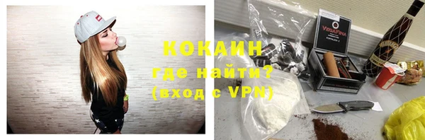 ГАЛЛЮЦИНОГЕННЫЕ ГРИБЫ Белокуриха