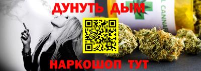 индика Лесосибирск