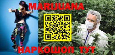 индика Лесосибирск