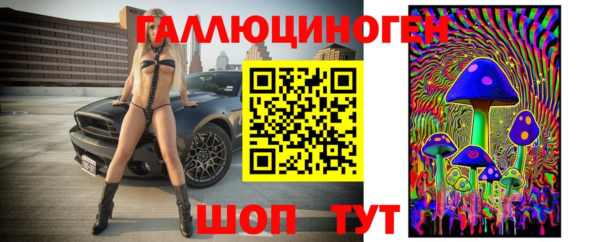 Галлюциногенные грибы мицелий  Вход с VPN  Галлюциногенные грибы Psilocybine cubensis  Гусев 