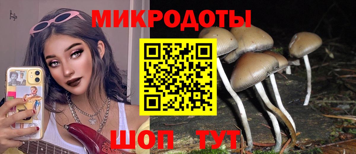 Псилоцибиновые грибы Cubensis Гусев